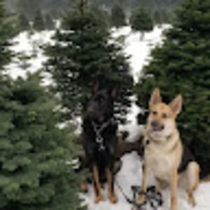 Meet your Posher, Jill